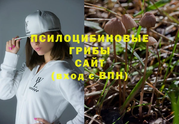хмурый Алзамай