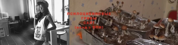 скорость Арсеньев